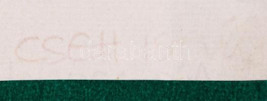 Cseh jelzéssel: Női akt. Vegyes technika, papír, kartonra ragasztva, 45×27 cm