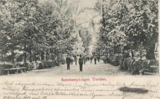 Torda, Széchenyi liget / park