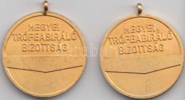 Iván István (1905-1968) "Megyei Trófeabíráló Bizottság" aranyozott emlékérem (40mm) + &quo...