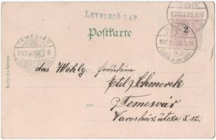 1899 Karlovy Vary, Karlsbad, Judaica, floral litho