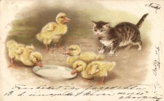 1899 Cat, duck, litho (EK)