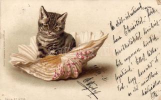 1899 Cat, shell, Serie 27. No. 10. litho (EK)