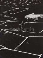 cca 1970-1980 Gebhardt György (1910-1993): Kompozíció (Csillék temetője), jelzetlen vintage fotóművészeti alkotás, a szerző hagyatékából, 24x18 cm