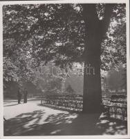 cca 1930-1940 Reich Péter Cornel: Margitszigeti hangulat, pecséttel jelzett vintage fotó, 19x18 cm