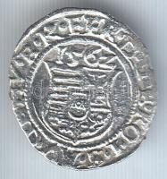1562K-B. Denár Ag "I. Ferdinánd" (0.48g) T:2,2
Huszár 936., Unger II 748.a