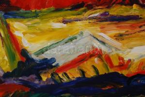 Schéner Mihály (1923-2009): Paris. Olaj, farost, jelzett, keretben, 50×70 cm