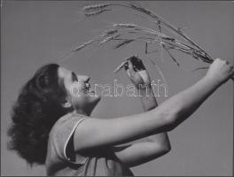 1933 Járai Rudolf: A gazdag termés öröme, vintage fotóművészeti alkotás, aláírva, pecsételve, 18x24 cm