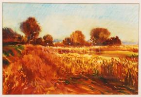 Bóka Dezső (1935-): Mező. Akvarell, papír, jelzett, üvegezett keretben 31×48 cm