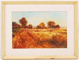 Bóka Dezső (1935-): Mező. Akvarell, papír, jelzett, üvegezett keretben 31×48 cm