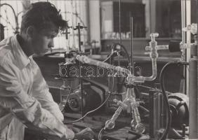 cca 1950-1960 Kotnyek Antal (1921-1990): Kémia órán, vintage fotóművészeti alkotás, pecséttel jelzett, 13x18 cm