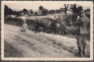 1944 A II. világháború egy békés pillanata Erdélyben, Nagytarnán katonák fényképezték a falusiak életét, feliratozva, 9x14 cm