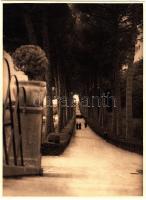 cca 1920-1930 Weisz Rózsa vintage felvétele egy mediterrán parkról, jelzetlen, 23x17 m