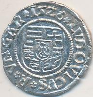 1526K-A Denár Ag "II. Lajos" (0,52g) T:2 ph.
Huszár 841., Unger I 673.n