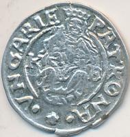 1566K-B Denár Ag "Miksa" (0.55g) T:2 ph. 
Huszár: 992., Unger II: 766.a