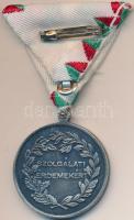 1992. "Szolgálati Jel (érdem után) II. osztálya" ezüstözött kitüntetés szalagon tokban T:1...