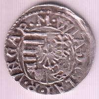 1498-1503K-h Denár "II. Ulászló" (0,72g) T:2- Huszár 807.,Unger I.: 641.a var