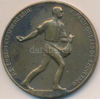 ~1930. "Az Érdem Elismeréséül A Falu Országos Szövetsége" Br emlékérem (45mm) dísztokban T...