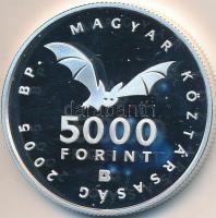 2005. 5000Ft Ag "Aggteleki-karszt barlangjai" T:PP