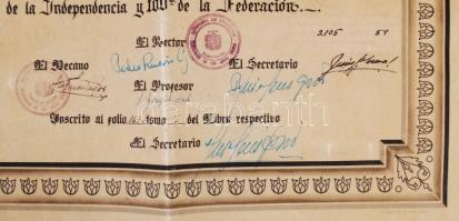 1958 Venezuela Andoki tudományegyetem orvosi oklevél magyar részére / Venezuela Medical diploma 46x6...