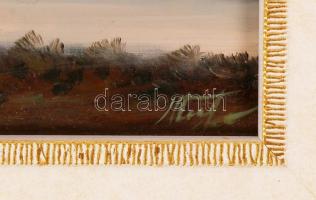 Olvashatatlan jelzéssel: Szigligeti öböl. Olaj, farost, jelzett, újszerű keretben, 15x21 cm