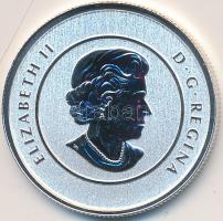 Kanada 2011. 20$ Ag "II. Erzsébet / Juharlevél" (7.96g/0.999/27mm) T:PP Angol-Magyar tanús...
