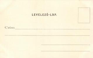 Mohács, Perényiné a csatatéren; kiadja Blandl János