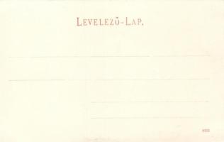 Herkulesfürdő, villanytelep; kiadja R. Krizsány / power plant