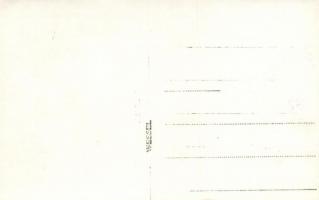 Sao Paulo, Zeppelin airship