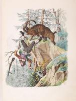 1856 A család könyve, II. évfolyam, 3 db színezett, litográfiával, 105-106. oldal hiányos, 316p