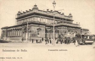 Sofia, L'assemblée nationale / National Assembly (non pc backside)