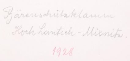 cca 1920-1930 Tájképek, hátoldalon feliratozva, 6 db fotó, 24x18 cm