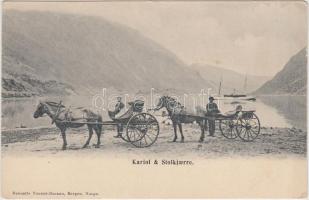 Kariol & Stolkjaerre / horse carriages