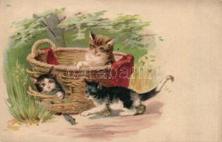 Cats litho
