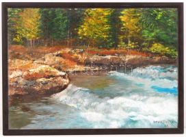 Ibránszki Antal: Zuhatag. Olaj, vászon, jelzett, fa keretben, 41x30 cm