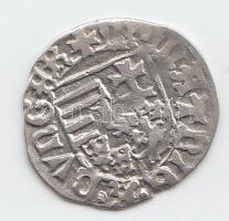 1482-1486. Denár "I. Mátyás" (0,62g) T:2-/3
Huszár 719.,Unger I.: 565.d
