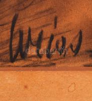 Weiss jelzéssel: Női fej. Szén, papír, üvegezett sérült antik keretben 28×21 cm