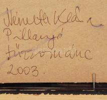 Németh Klára (1956-): Pillangó. Tűzzománc, fémlap, jelzés hátul, újszerű keretben, 12×12 cm