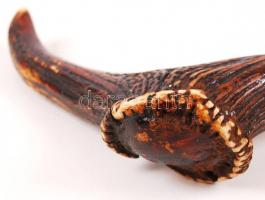 Fa sétabot csont nyéllel, réz veretekkel