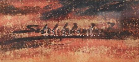 Sztelek Norbert (1884-1956): Tó part. Pasztell, papír, üvegezett keretben, hátán O.P.C.N. CLUJ pecsé...