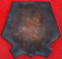 DN "MH. 108 MÉSZÁROS LÁZÁR GÉPESÍTETT LÖVÉSZDANDÁR" Br plakett (150x154mm) tokban T:1-