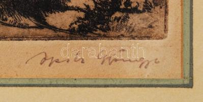 Opitz Gyöngyi (1897-1942): Elhagyott kert. Rézkarc, papír, jelzett, 11x14 cm,