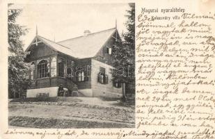 Magura, nyaralótelep, Kolozsváry-villa