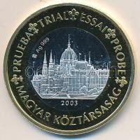 2003. 1 Euro "PRÓBA" Ag emlékveret (25.23g/0.999/40mm) T:PP