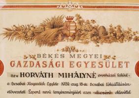 1929 A Békés Megyei Gazdasági Egyesület lókiállításán kiadott díszes litho oklevél. Üvegezett keretb...