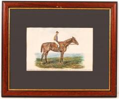 cca 1880 Futamgyőztes lovak sorozatból: Taurus színezett fametszet igényes üvegezett keretben / Cham...