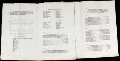 cca 1864 magyar nyelvű körözvények a körözött személyek és esetek részletes leírásaival