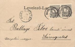 1899 Nagyszalonta, Czinczér Mór kereskedésével / shop; floral