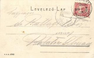 Budapest XIII. Margitsziget a sportteleppel; Ganz Antal