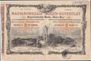 Budapest 1888. "Magyarországi Jószív Egyesület" sorsjegye, pecsételéssel 2Ft-ról magyar és német nyelven T:II-