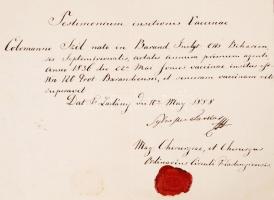 1858 Oltási bizonyítvány Farkas Sylvester Nádasladényi sebész aláírásával és pecsétjével Szél Kálmán...